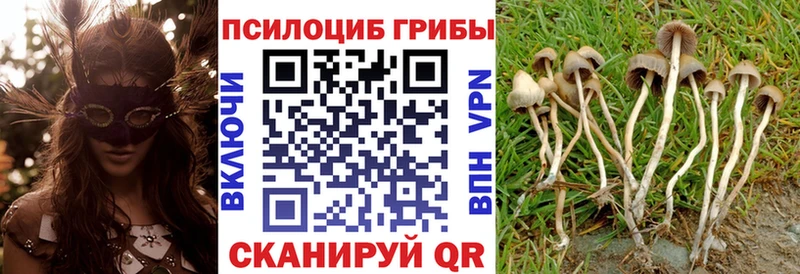Псилоцибиновые грибы Magic Shrooms  Братск 